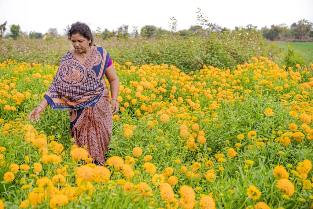 New App Optimizes Agriculture Water Usage